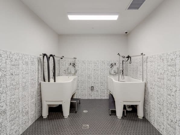 Bimini Square Apartments photo